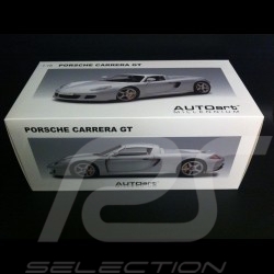 Porsche Carrera GT grau 1/18 Autoart 78046
