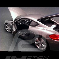 Porsche Cayman S 981 gris 2013 1/18 Minichamps WAP0210070D