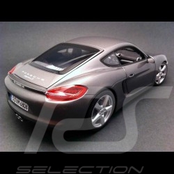 Porsche Cayman S 981 gris 2013 1/18 Minichamps WAP0210070D