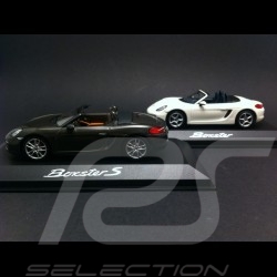 Duo Porsche Boxster et Boxster S 981 2013 WAP0202010D / WAP0202000D