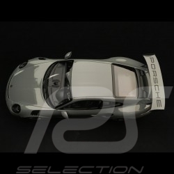 Porsche 911 GT3 RS type 991 2017 China grey 1/18 Minichamps WAX02100030