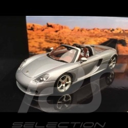 Set Porsche Carrera GT with and without removable roof GT silver grey 1/43 Minichamps WAP02010314