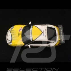 Porsche 911 typ 996 GT3 RS n° 199 Dieteren GT3 Road Challenge 1/43 Minichamps WAP02012716