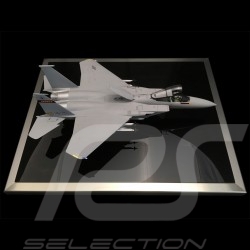 Vitrine pour maquette avion 1/48 Acrylique anti-rayures qualité premium Showcase aircraft model Flugzeugmodelle 