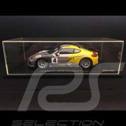 Porsche Cayman GT4 Clubsport 2016 grau / gelb 1:18 Spark WAP0219010G