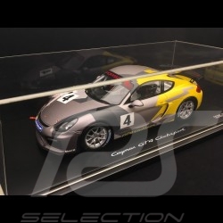 Porsche Cayman GT4 Clubsport 2016 grau / gelb 1:18 Spark WAP0219010G