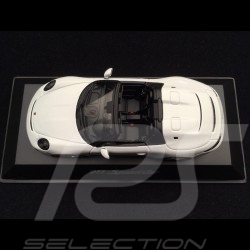 Porsche 718 RS60 Course de côte 1960 