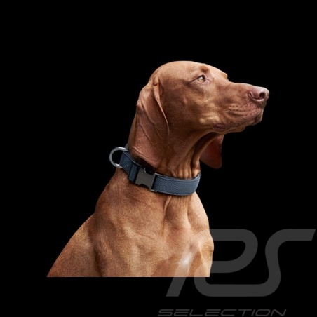 Collier Dog collar Hundehalsband Porsche pour chien connaisseur gris grey grau Porsche Design WAP0306000K