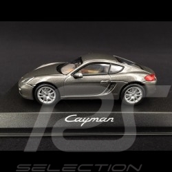 Porsche Cayman 981 gris quartz métallisé 