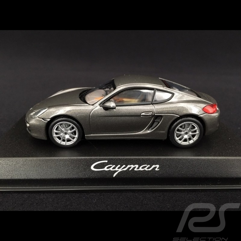 Porsche Cayman 981 gris quartz métallisé 