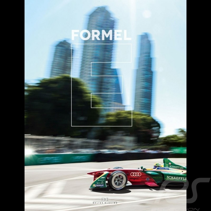 Livre book buch Formel E - The Story