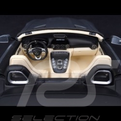 Porsche 718 RS60 Course de côte 1960 