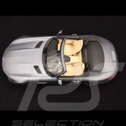 Porsche 718 RS60 Course de côte 1960 