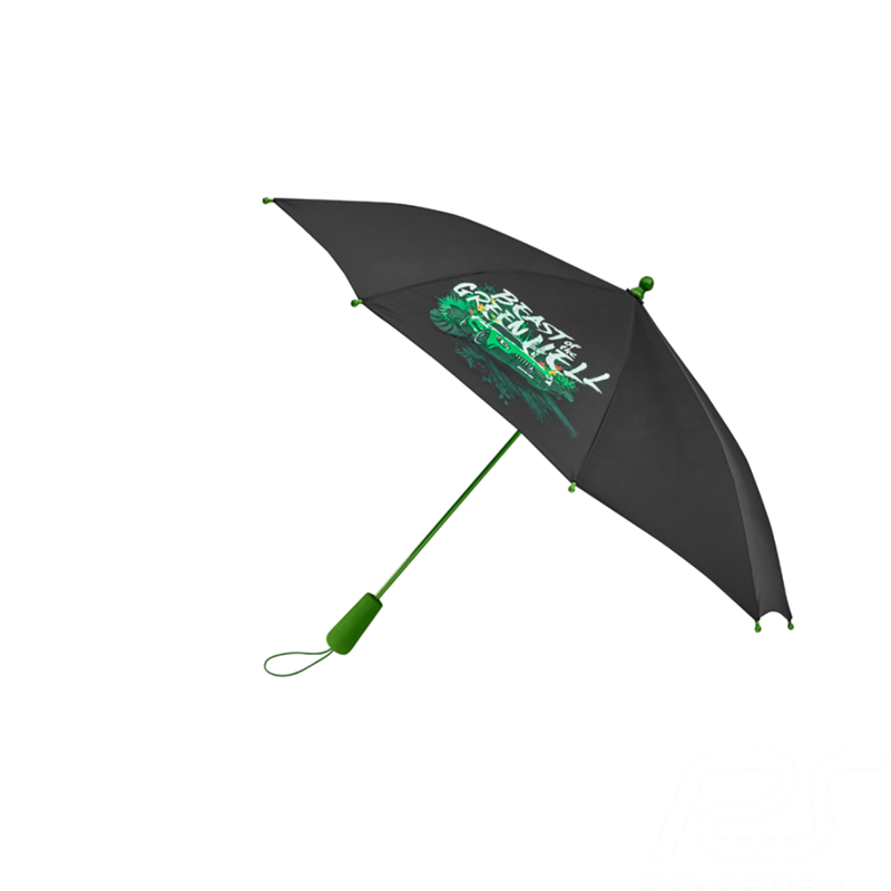 Parapluie umbrella kinderschirm for children black and green schwarz und grün Mercedes pour enfant AMG GT R noir et vert Mercede