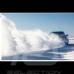 Livre Book Buch Roads to Taycan - Christophorus Edition