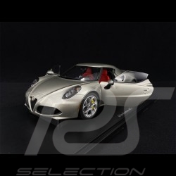 Porsche 718 RS60 Course de côte 1960 