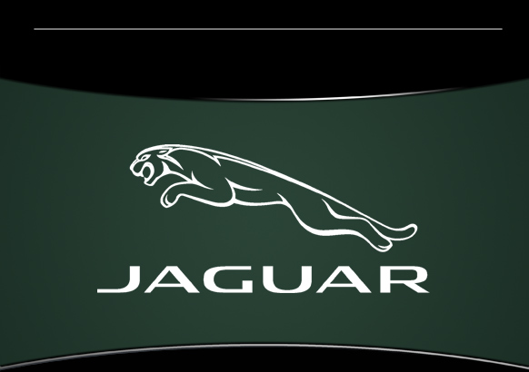 Jaguar Models & Accessories